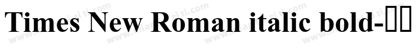 Times New Roman italic bold字体转换